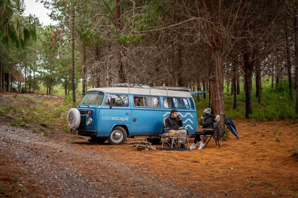 Combi volkswagen vintage en el bosque